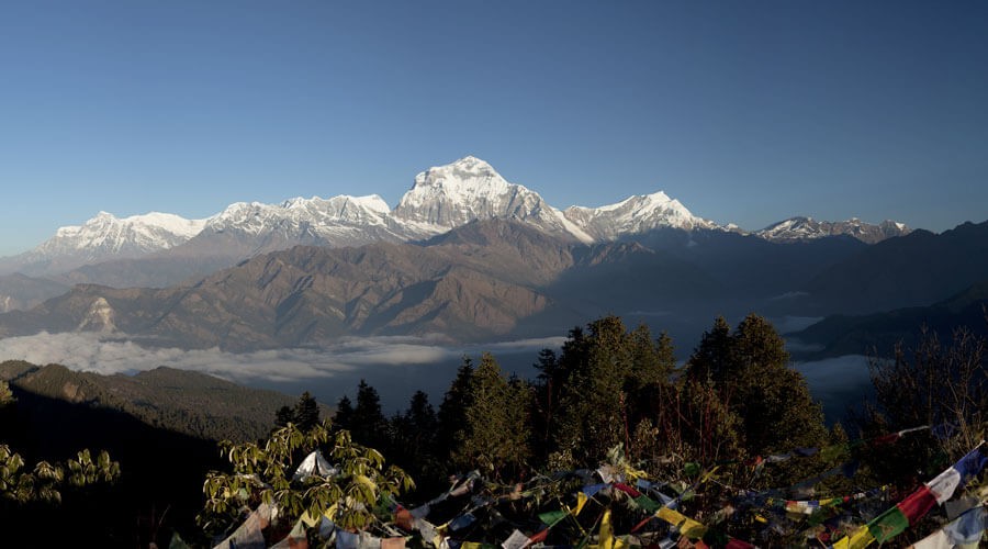family trek in nepal